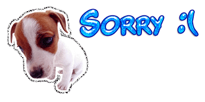 Piesek z brokatowym napisem Sorry